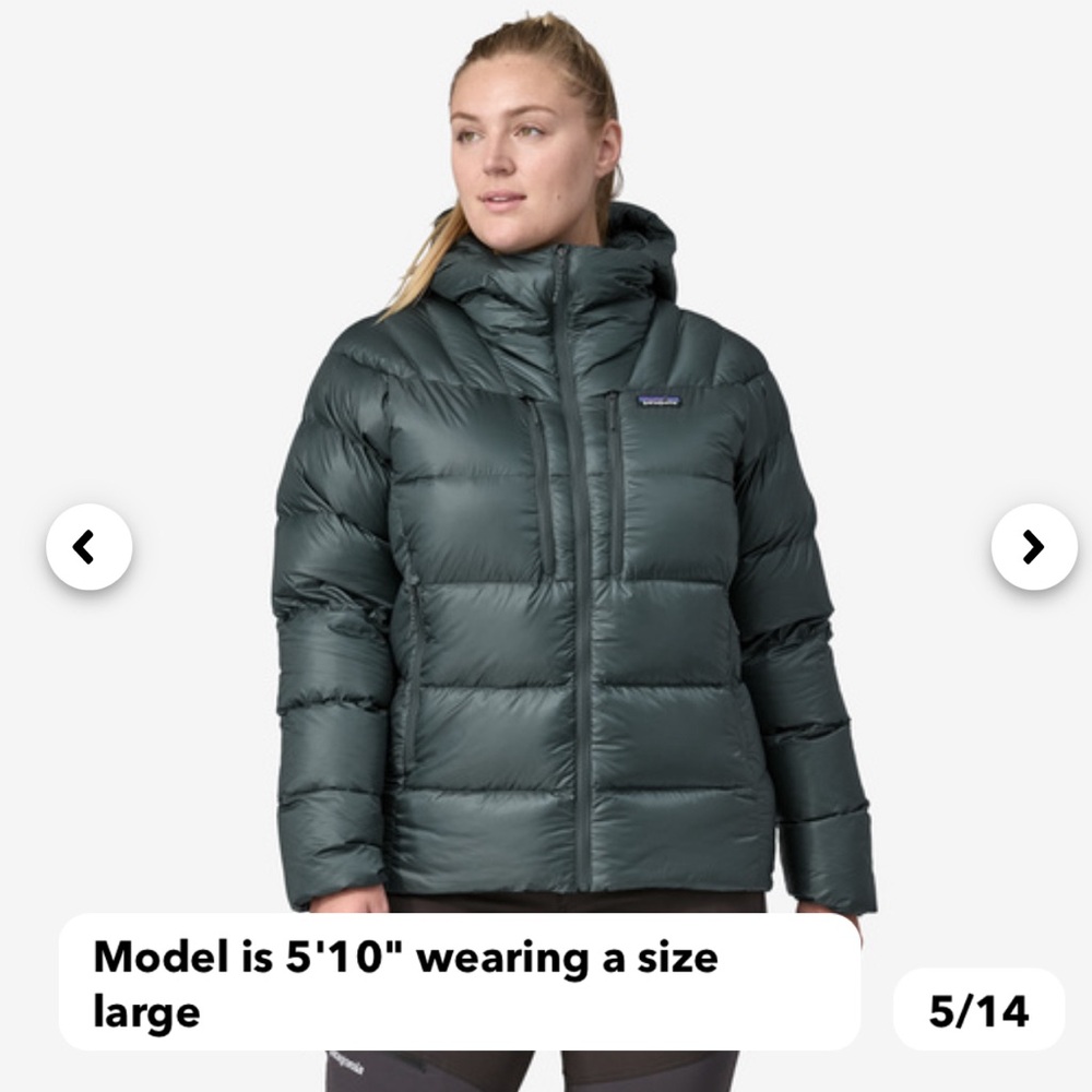 Patagonia Fitz Roy Puffy Jacket